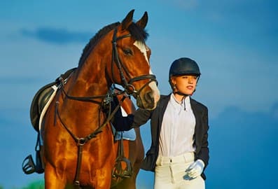 MENA Equestrian Show for suppliers enthusiasts owners breeders stables and clubs