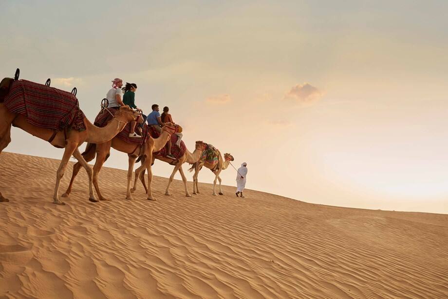 Arabian Desert Tours w Dubaju