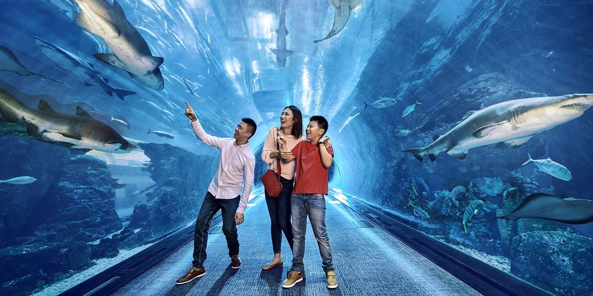 Dubai Aquarium