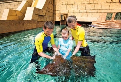 Playing with rays at Atlantis Dubai