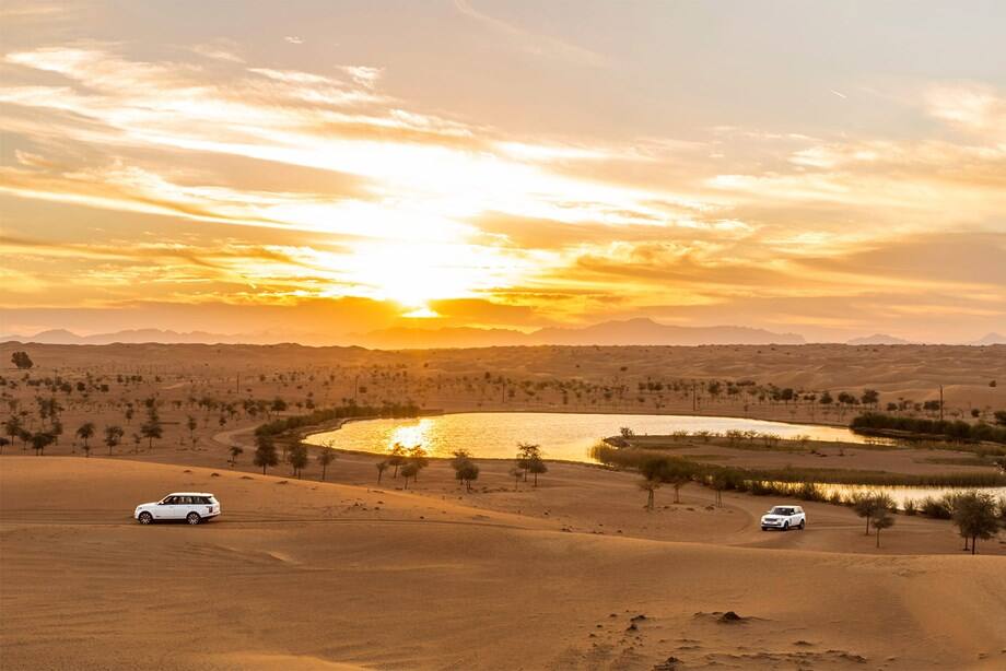 Desert Experience in Dubai