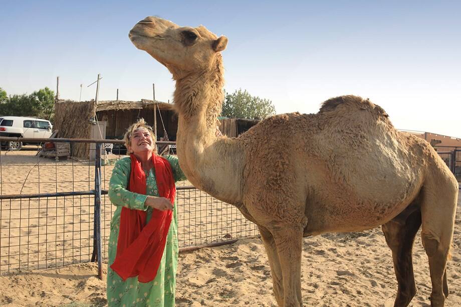 /GatherContent/article/c/camel-uschi/fallback-image/feature-gallery-1jpg