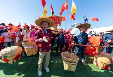 chineseelementsdubaiherodtcmjpg