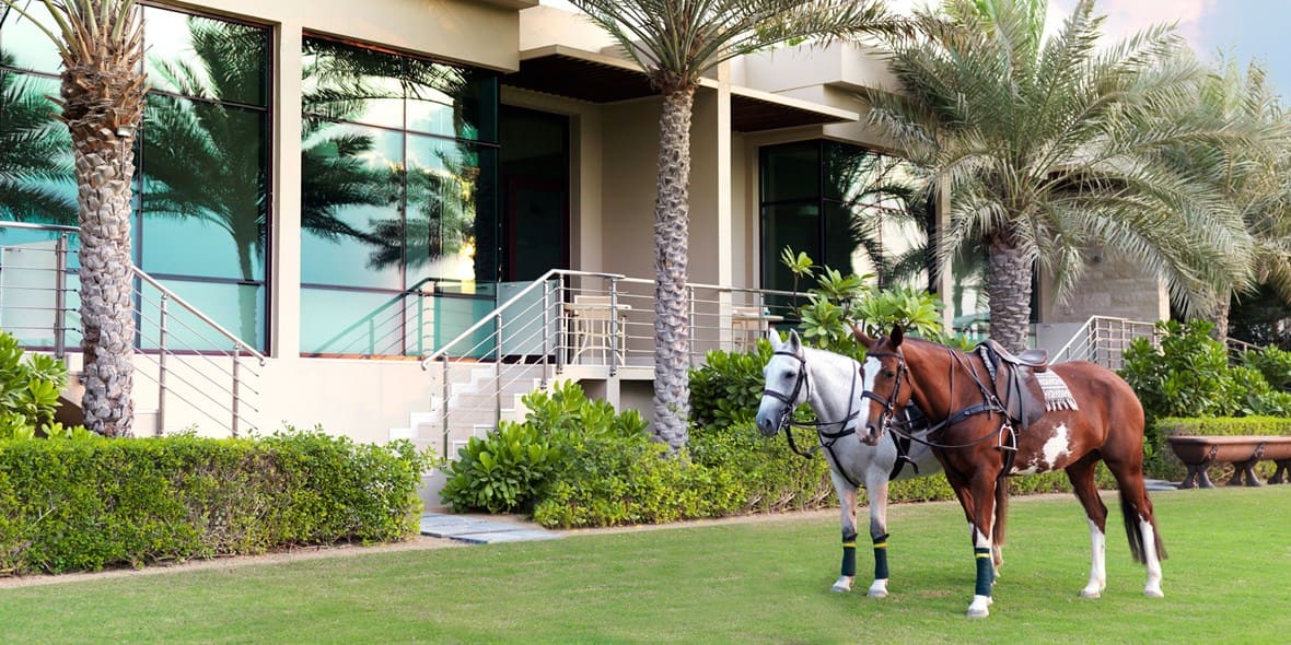 Two Ponies at Meliá Desert Palm in Dubai