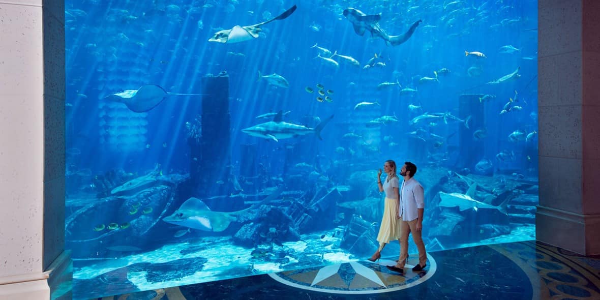 /GatherContent/article/d/dubais-best-proposal-spots/media/dubaus-best-proposal-spots-lost-chambers-atlantis