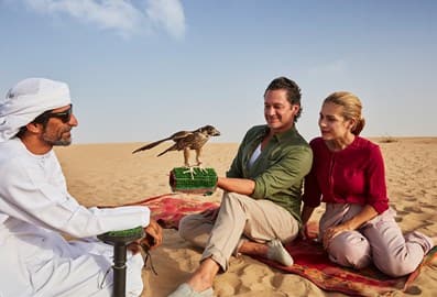 falconryexperiencesheaderjpg