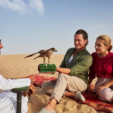 falconryexperiencesheaderjpg