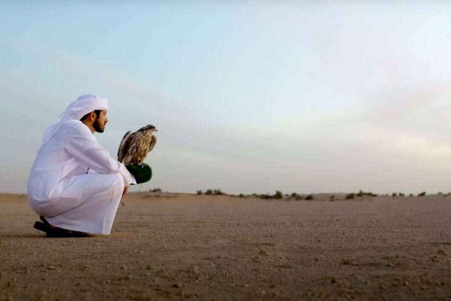 Falcoaria Dos Xeiques árabes No Deserto Ilustração do Vetor