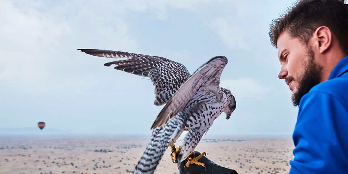 /GatherContent/article/f/falconry-experiences/media/falconryexperiences2jpg