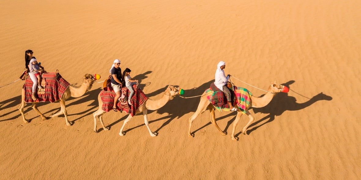 Camel ride at the Al Marmoom Conservation Reserve in Dubai