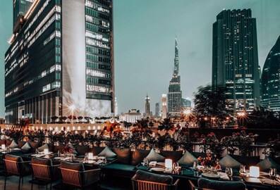 Robertos best restaurants in DIFC