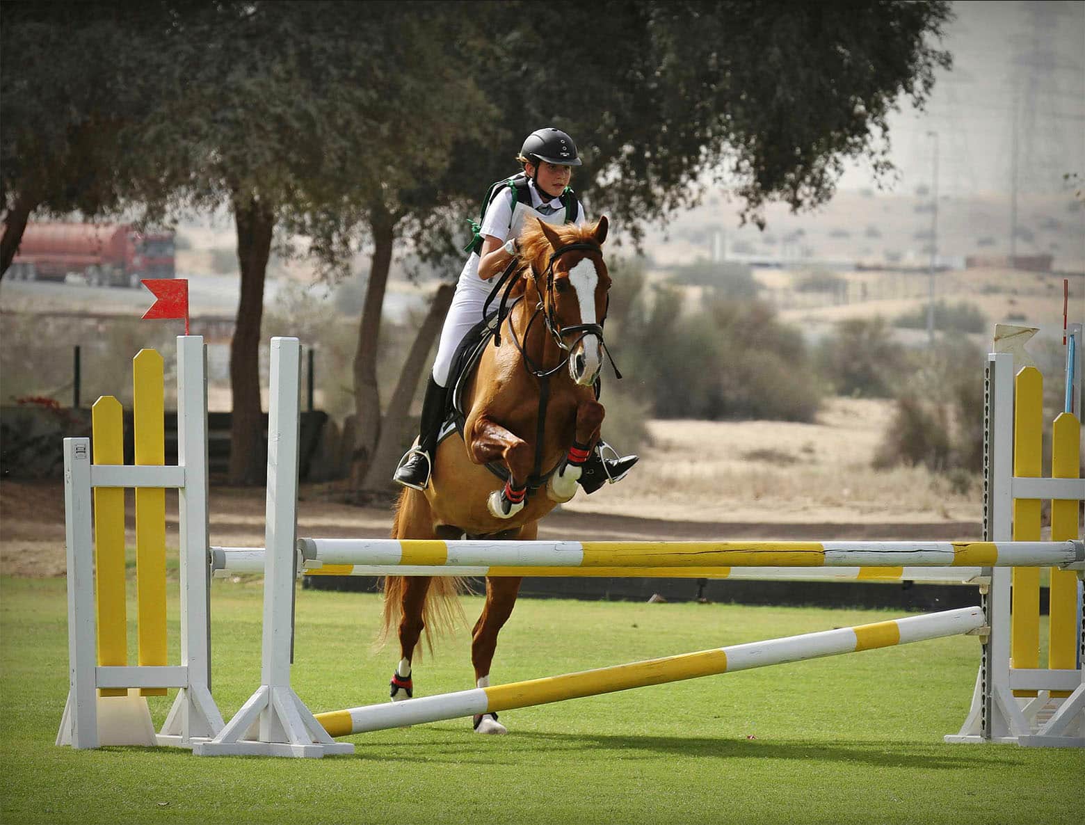 Horse Riding in Dubai | Equestrian Activities | Visit Dubai
