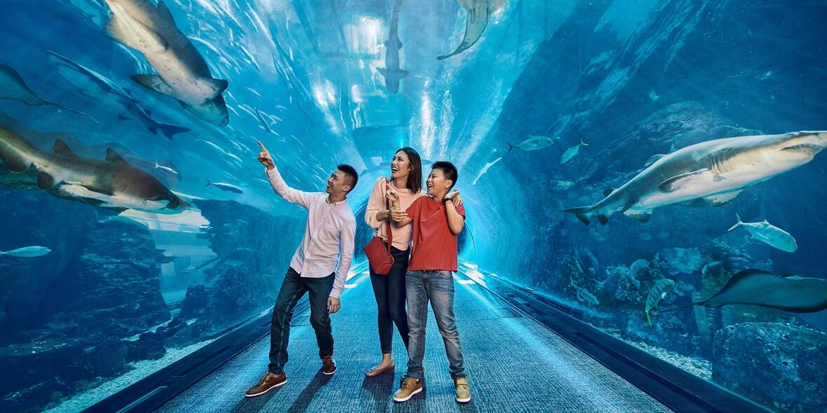 insider-tips-of-places-to-visit-with-kids-aquarium-3