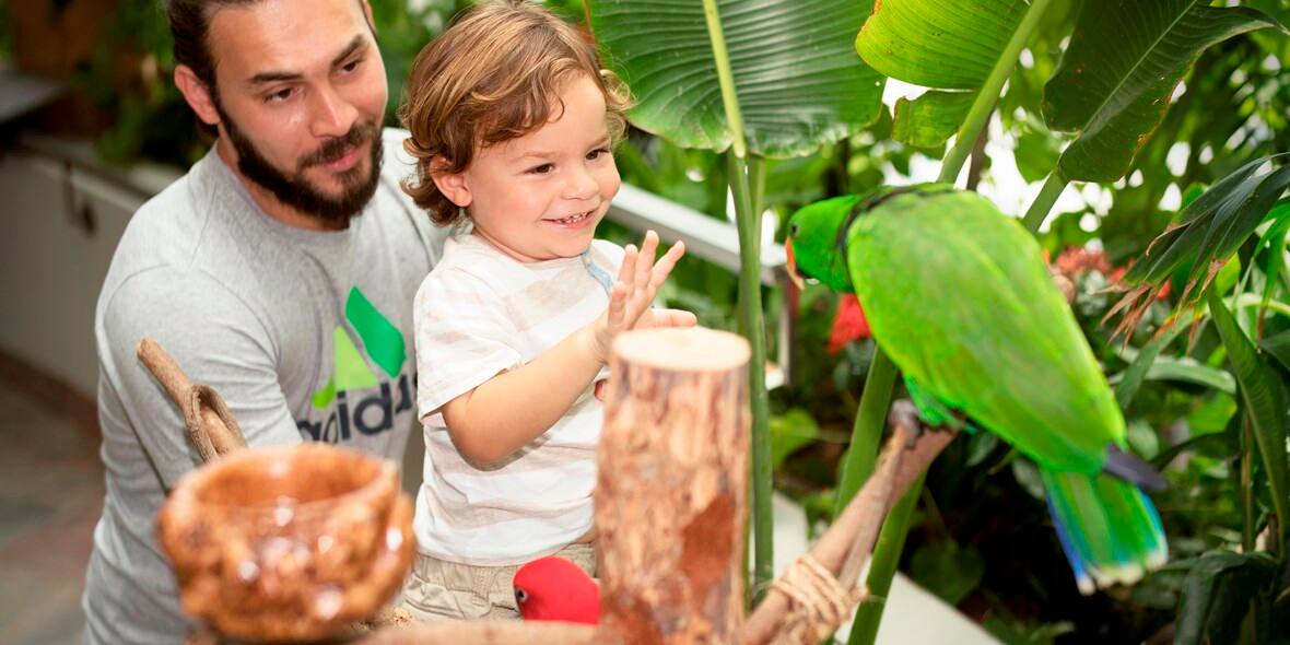 insider-tips-of-places-to-visit-with-kids-green-planet-5