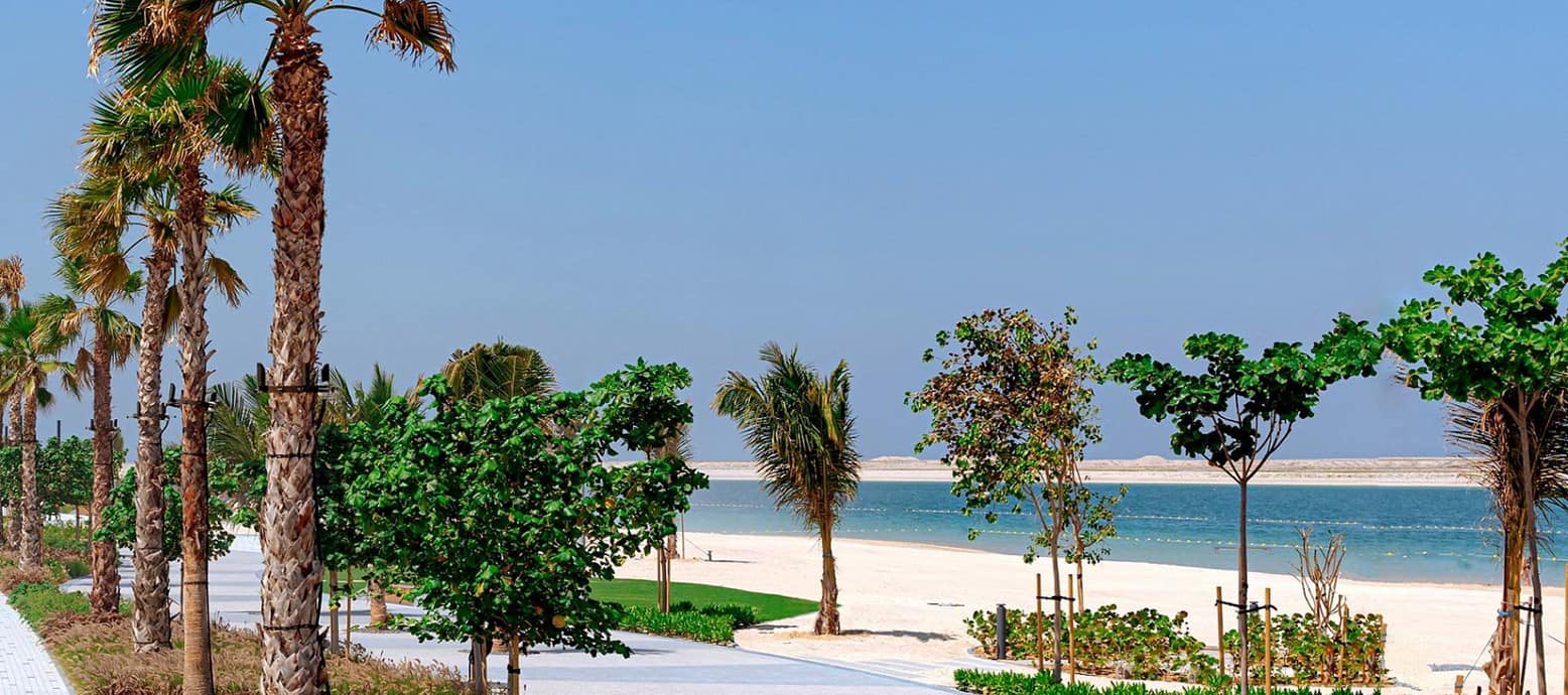 Palm-lined promenade and sandy shoreline at Dubai Islands Beach