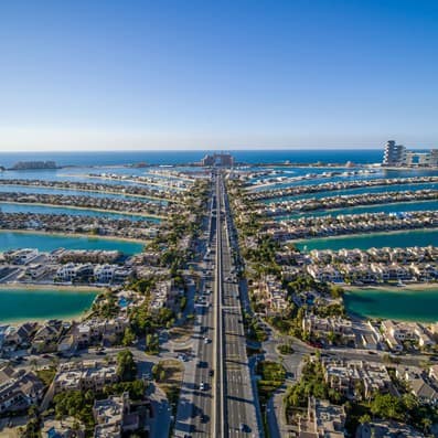 The View at the Palm