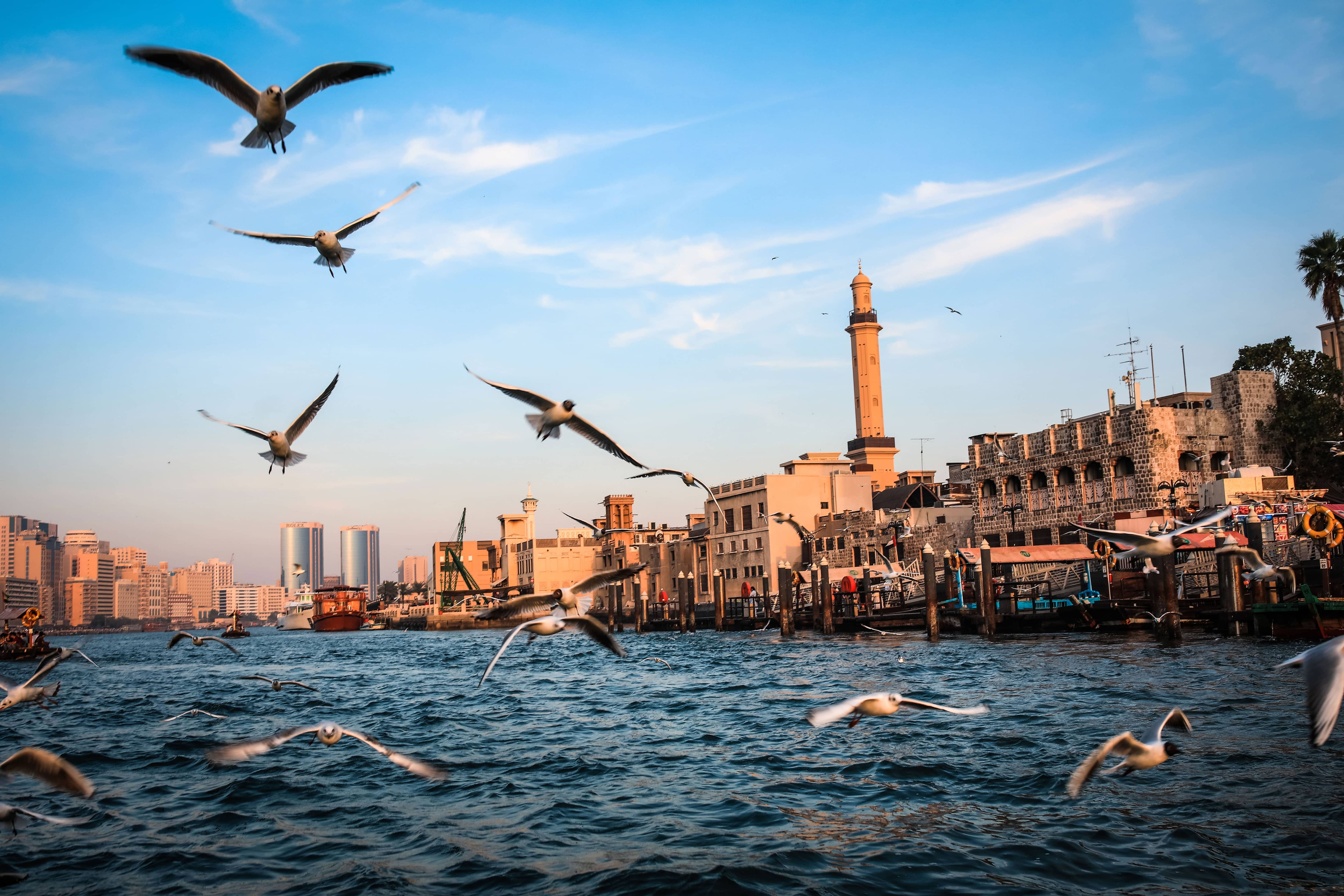 Seagulls over Dubai Creek with traditional abras and heritage buildings in Al Ras