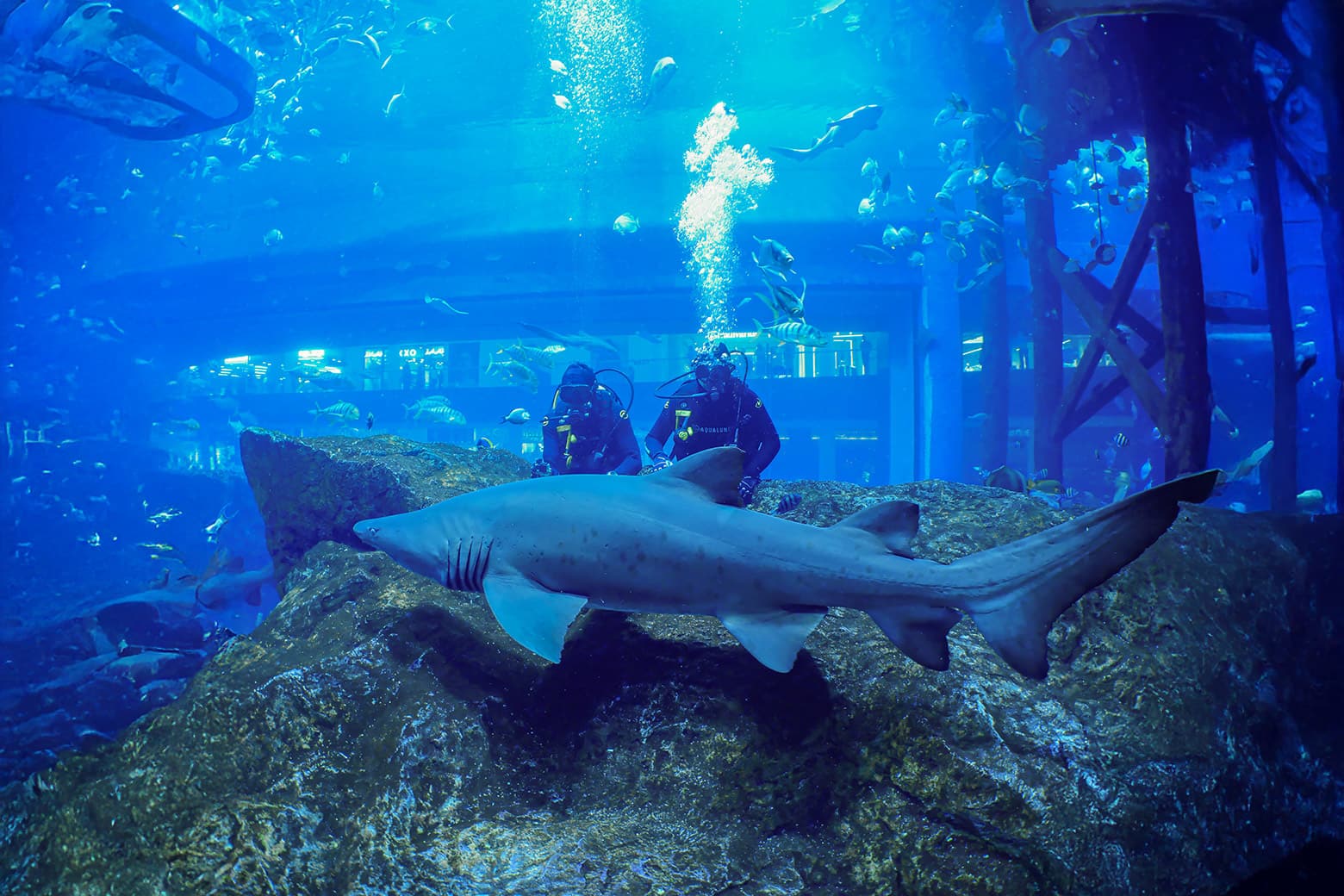 best places to scuba dive header det atlantis