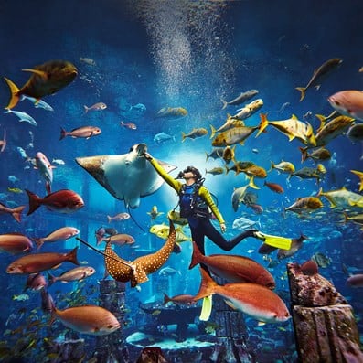 scuba-diving-dubai-aquarium-lost-chambers-1