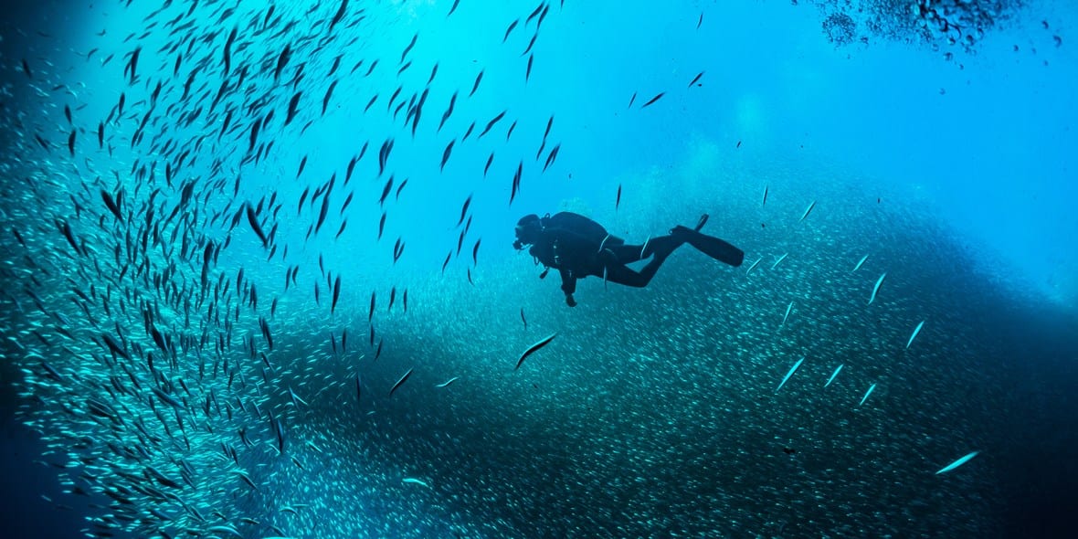 Scuba Diving