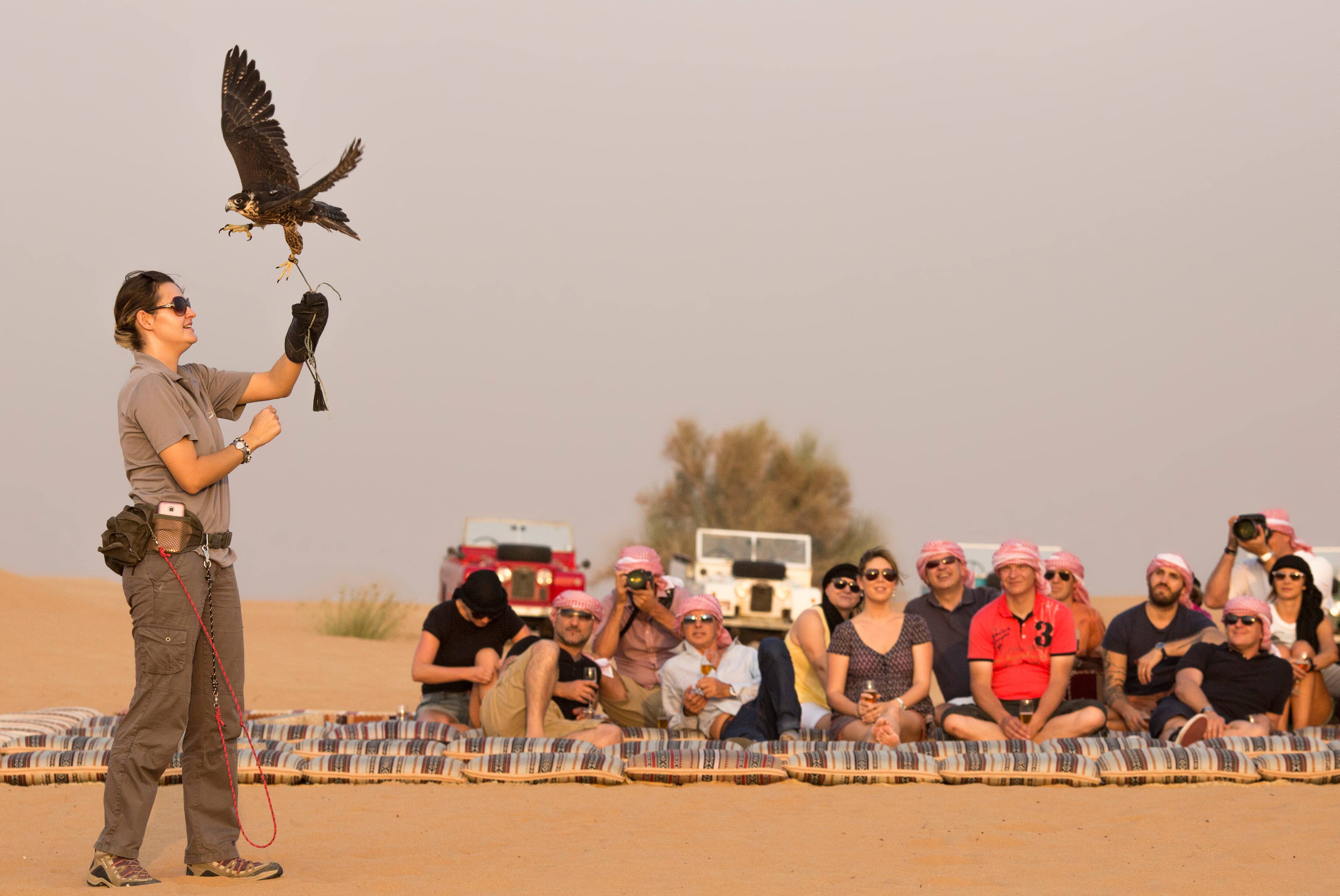 Falconry in Dubai's desert is a great stopover activity for repeat visitors.