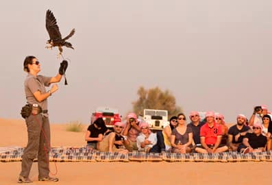 Falconry in Dubai's desert is a great stopover activity for repeat visitors.