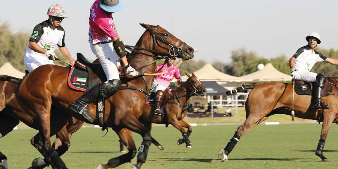 thebestequestrianthemedfunindubaidubaipoloclubjpg