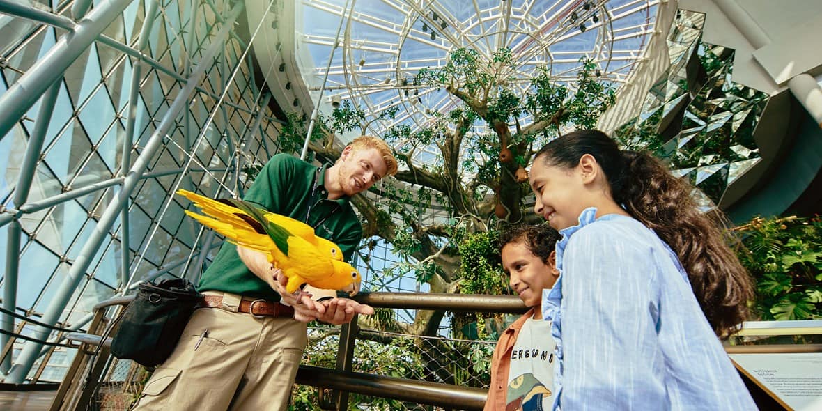 Animal Encounters at The Green Planet in Dubai