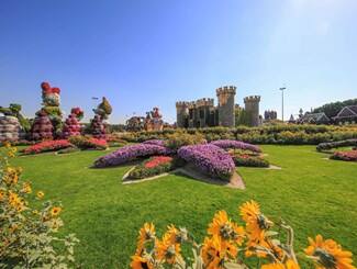 Dubai Miracle Garden in Dubai