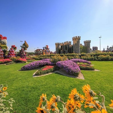 Dubai Miracle Garden in Dubai