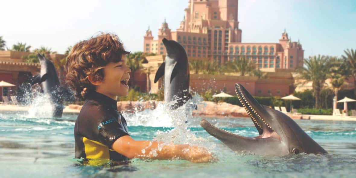 things-to-do-with-kids-in-dubai-dolphin-bay-9