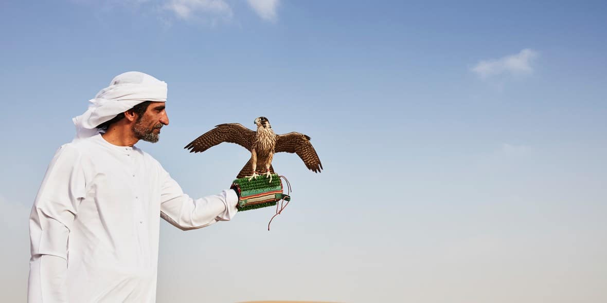 things-you-didint-know-dubai-falconry