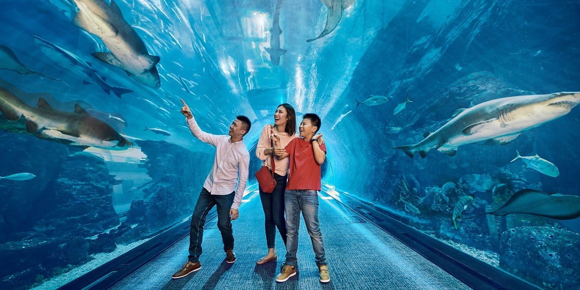 top-10-dubai-attractions-for-kids-this-summer-aquarium-9