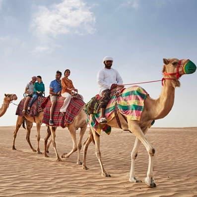top-6-things-do-in-dubais-desert-camel-ride-header