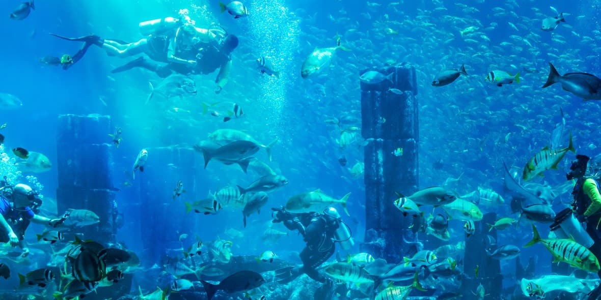 top-activities-for-teenagers-atlantis-dive-2