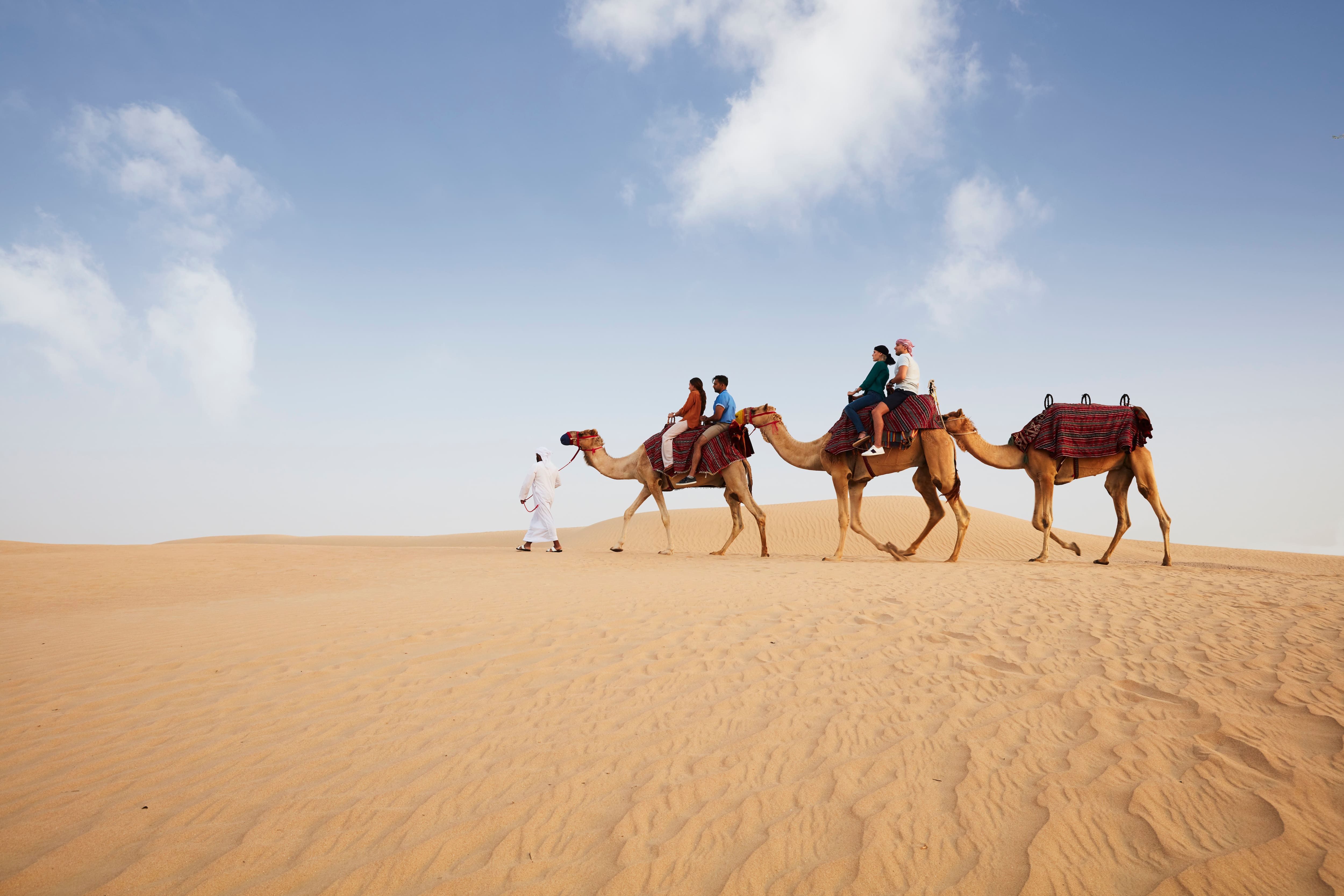 A camel caravan crossing golden dunes in the Dubai desert