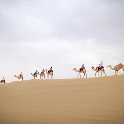 what-to-do-in-al-marmoom-desert-camel-desert-header