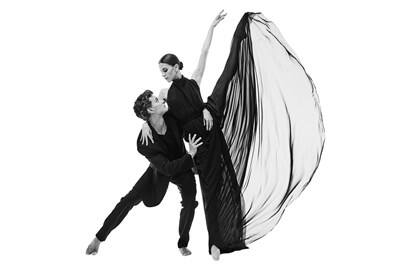 a ballet and video art performance