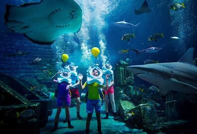 aquaventure worlds summer of sharks