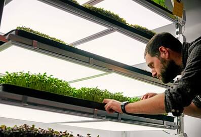 Impact-tech launch by GITEX GLOBAL largest technology and startup event