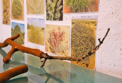 jameelartsgardenartistsofficialwebsitejan2021jpg