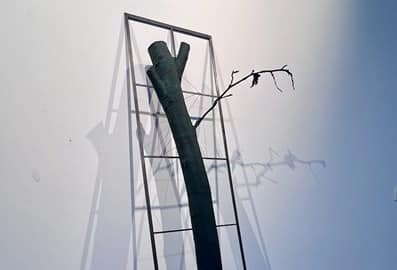 dom art projects sara masinaei
