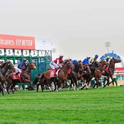 Dubai Racing carnival