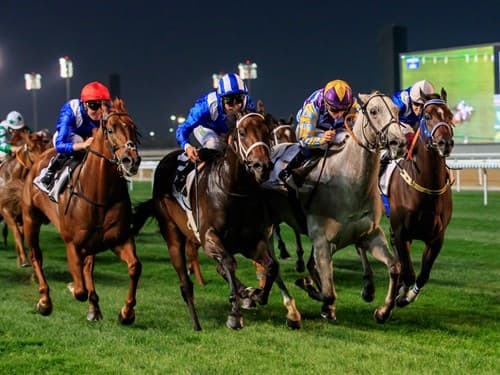 Dubai World Cup, held on the last Saturday in March, is the culmination of the city's racing season.