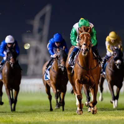 DRC Festive Friday Dubai