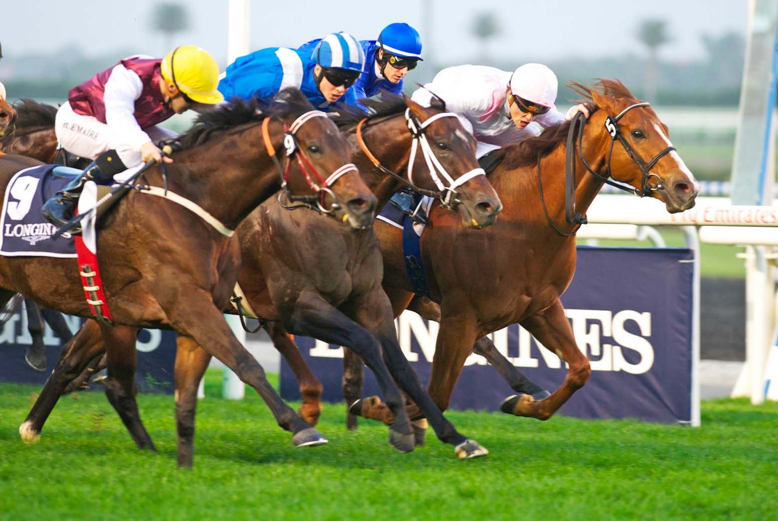 Racing at Meydan: January | Visit Dubai