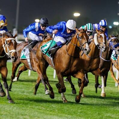 نادي دبي لسباق الخيل