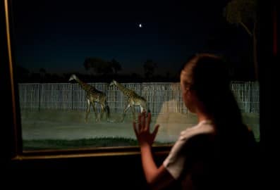 dubai safari park lifestyle