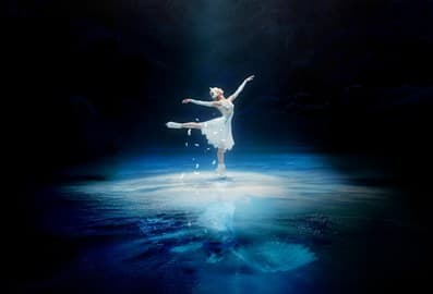 swan lake on ice
