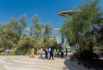 terra city nature challenge